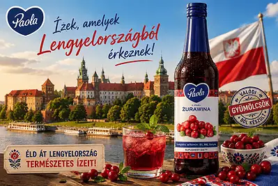 Lengyel áfonyás mézes limonádé