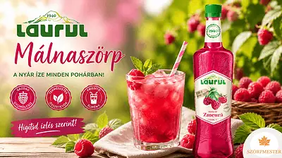 házi limonádé